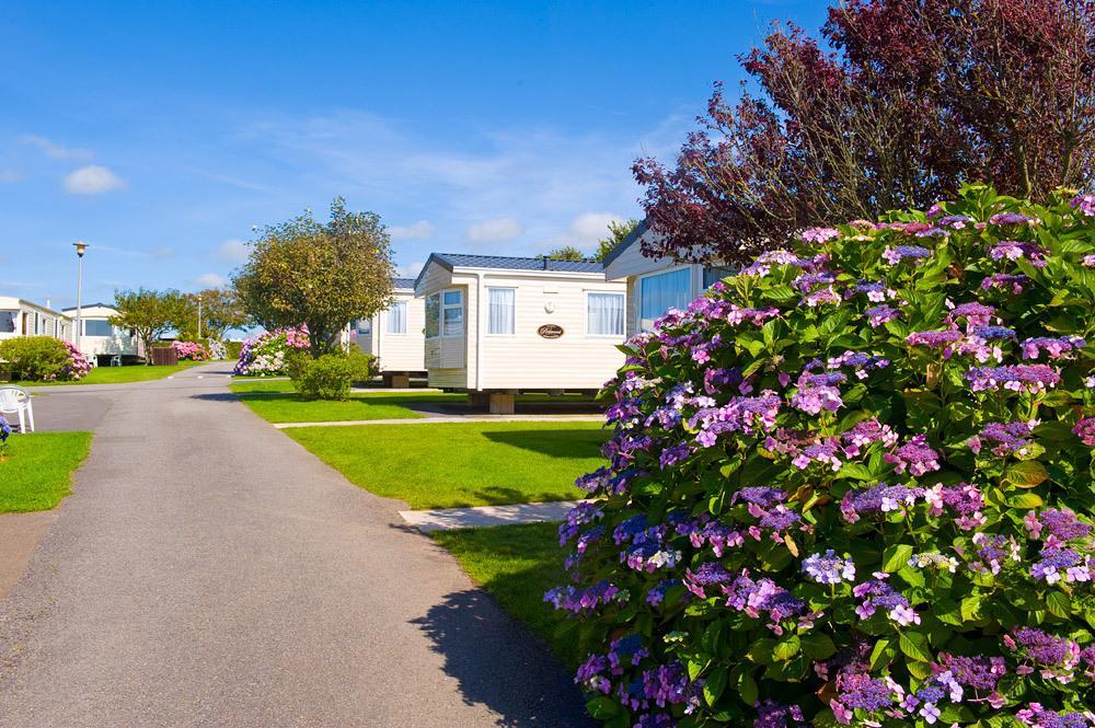 Wooda Farm Holidays バッド 部屋 写真