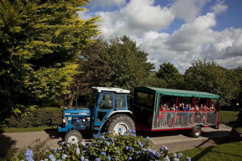 Wooda Farm Holidays バッド エクステリア 写真