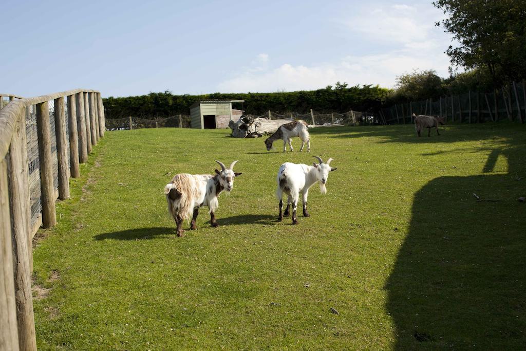 Wooda Farm Holidays バッド エクステリア 写真